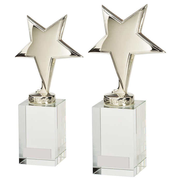 Dallas Crystal & Chrome Award