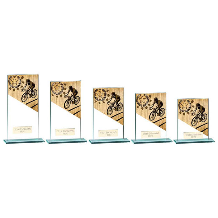 Mustang Cycling Jade Glass Award