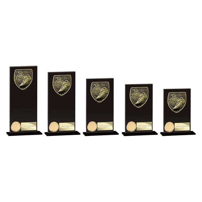 Cobra Running Glass Award