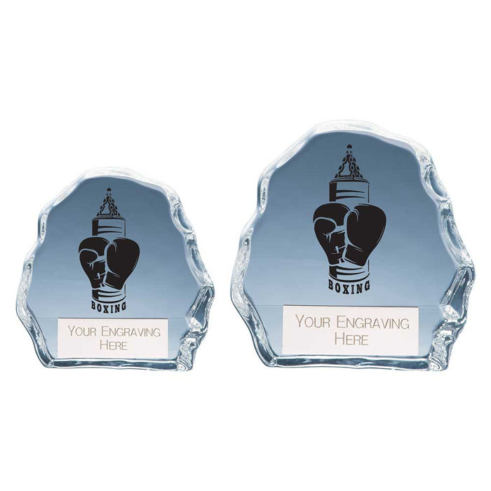 Mystique Boxing Glass Award