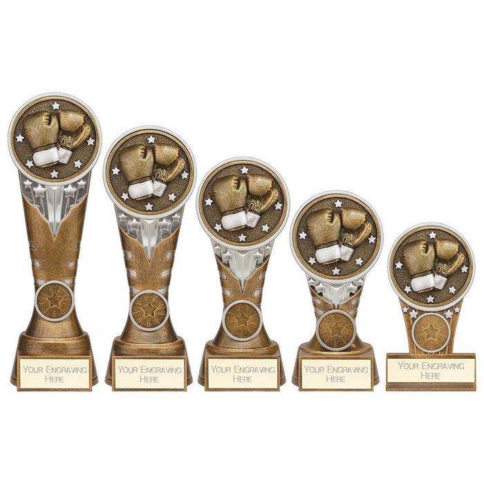 Ikon Tower Boxing Award