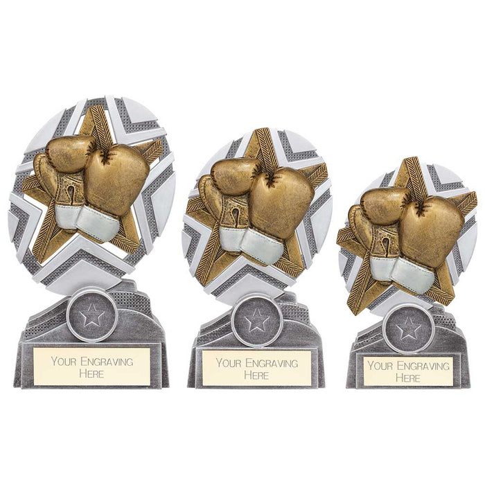 The Stars Boxing Plaque Award