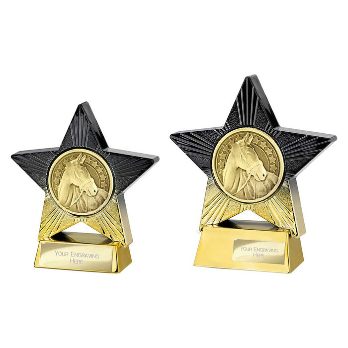 Superstar Equestrian Award