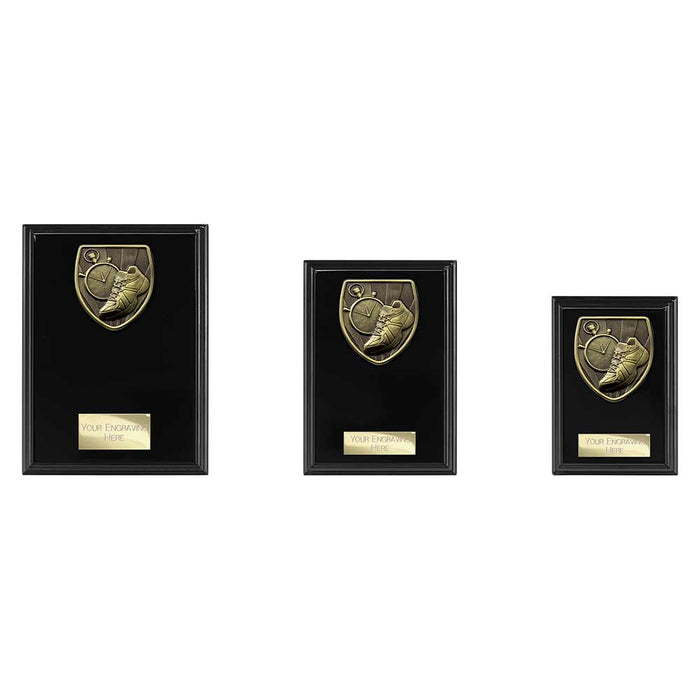 Cobra Plaque Running Award