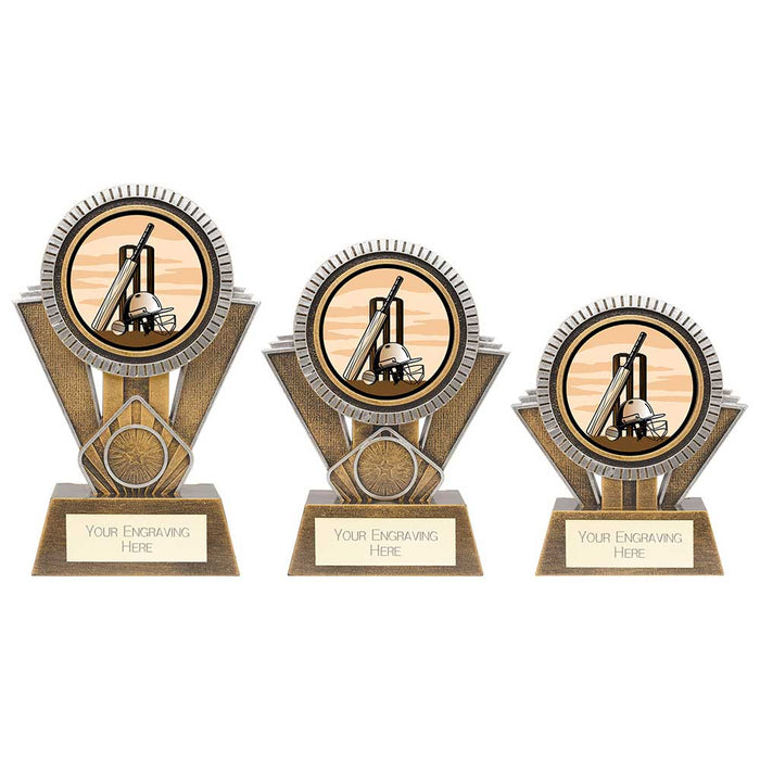 Apex Cricket Award Gold & Silver