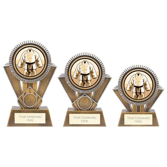 Apex Martial Arts Award Gold & Silver