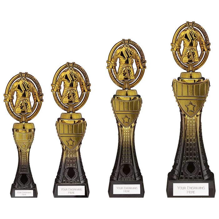 Maverick Heavyweight Martial Arts Award