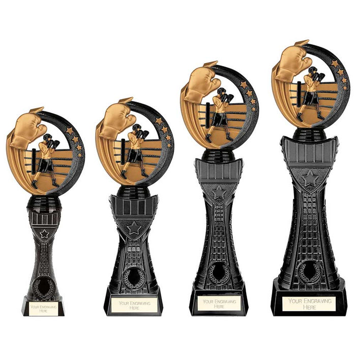 Renegade Heavyweight Boxing Award