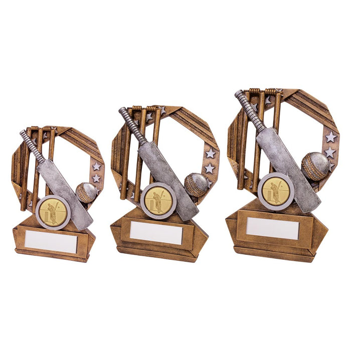 Enigma Cricket Award