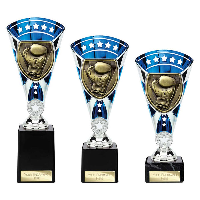 Cobra Star Cup Boxing 1