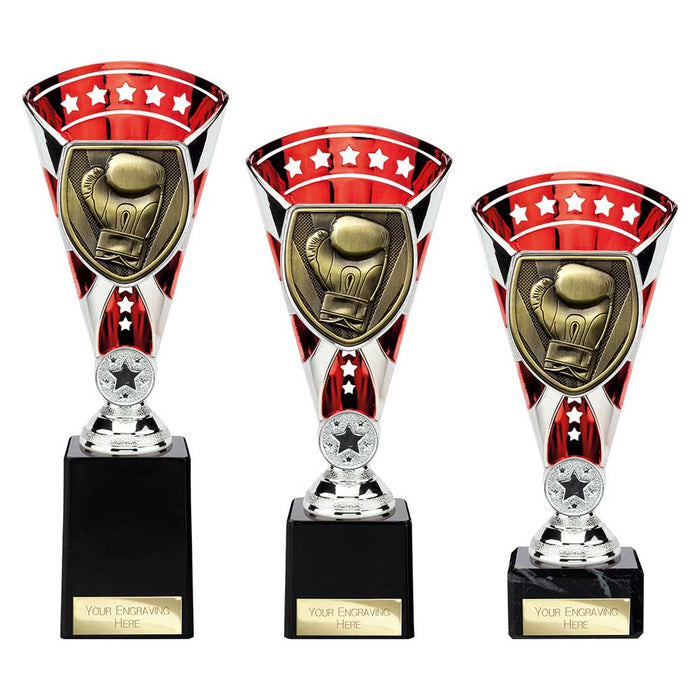 Cobra Star Cup Boxing 4