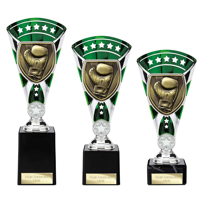 Cobra Star Cup Boxing 3