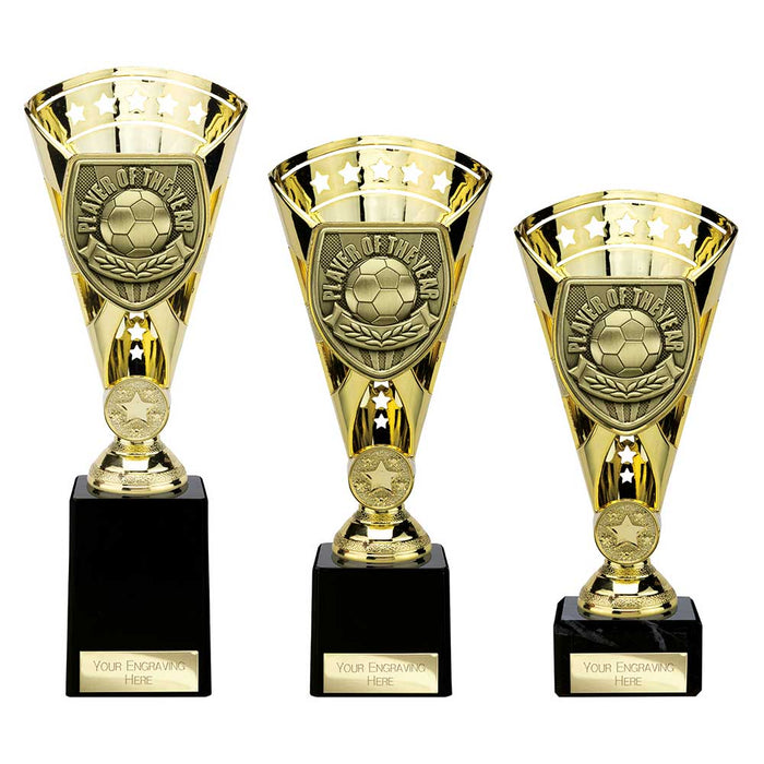 Cobra Star Cup Player of Year - Gold
