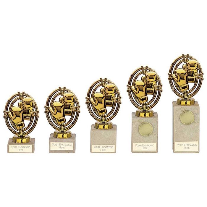 Maverick Legend Boxing Award
