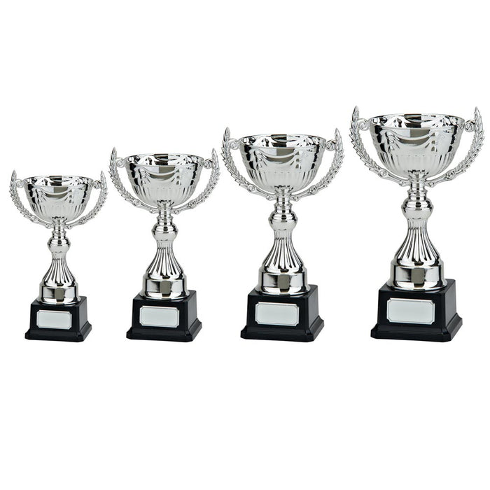 Endeavour Silver Cup
